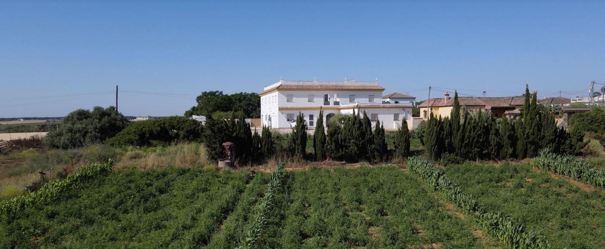 Rural Al'mare Conil De La Frontera